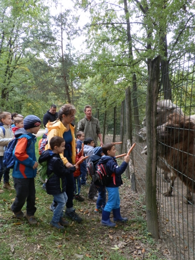 Az Állatok Világnapja