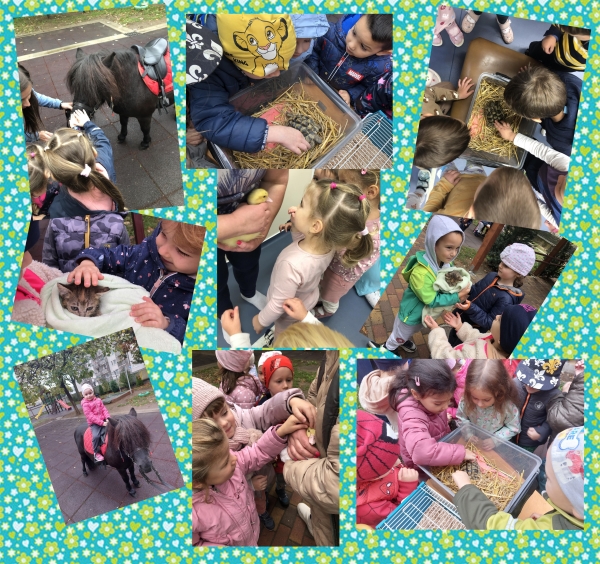 Állatsimogató az oviban