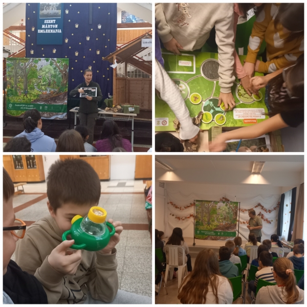 Erdészeti foglalkozás a Vörösmartyban