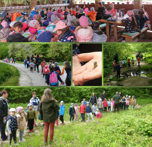 Erdei iskolában jártunk