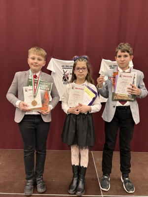 Zrínyi Ilona matematikaverseny