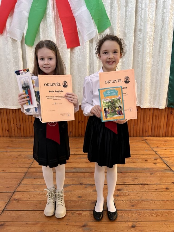 Arany János vármegyei versenyek