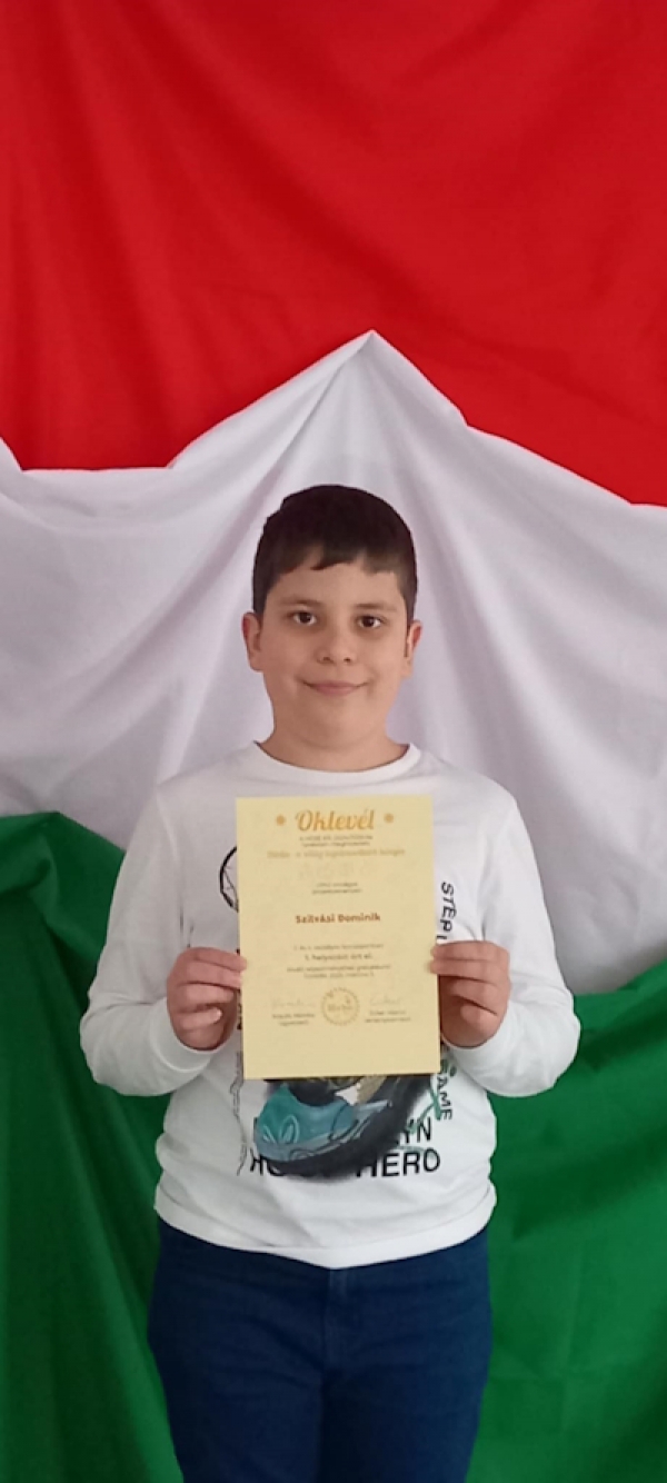 Országos projektverseny