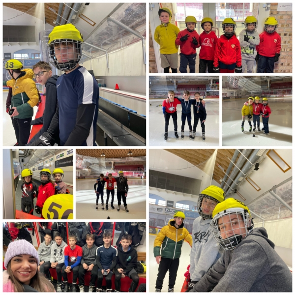 Gyorskorcsolya Országos Regionális Döntő eredményei