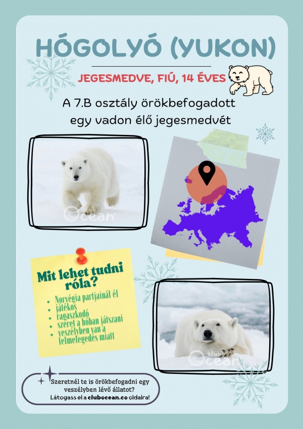 Állatok világnapja