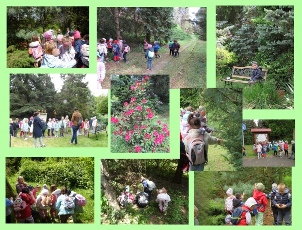 Kirándulás az Avasi Arborétumba