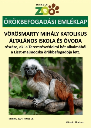Örökbefogadói oklevelél