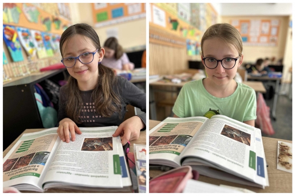 Regionális szövegértési verseny