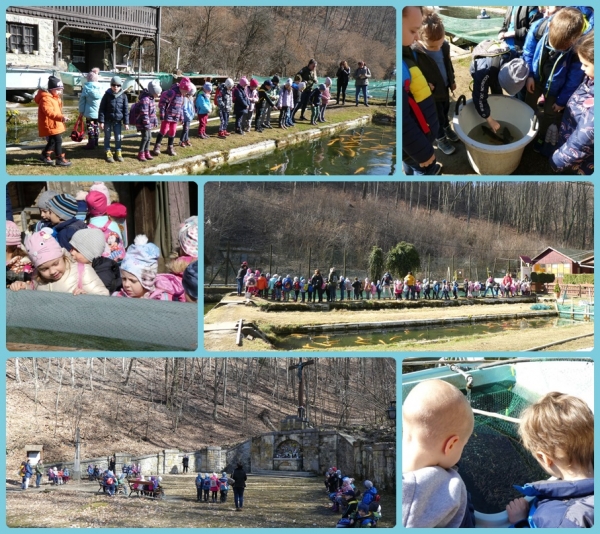 Kirándulás a Pisztrángosba