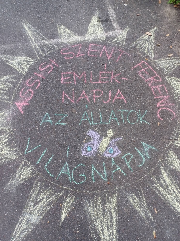 Színes programok Assisi Szent Ferenc emléknapja alkalmából