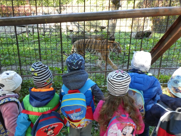 Kirándulás a Vadasparkba