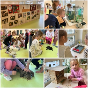 ÁLLATOK VILÁGNAPJA - 2024.10.04.