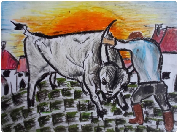 Vármegyei versenyeredmény