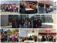 Felsős pályaorientációs nap