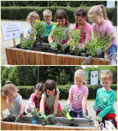 Virágültetés a Népkertben