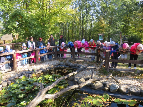 Kirándulás a Vadasparkba