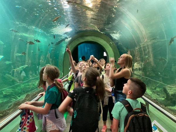 Kirajzottunk kirándulni