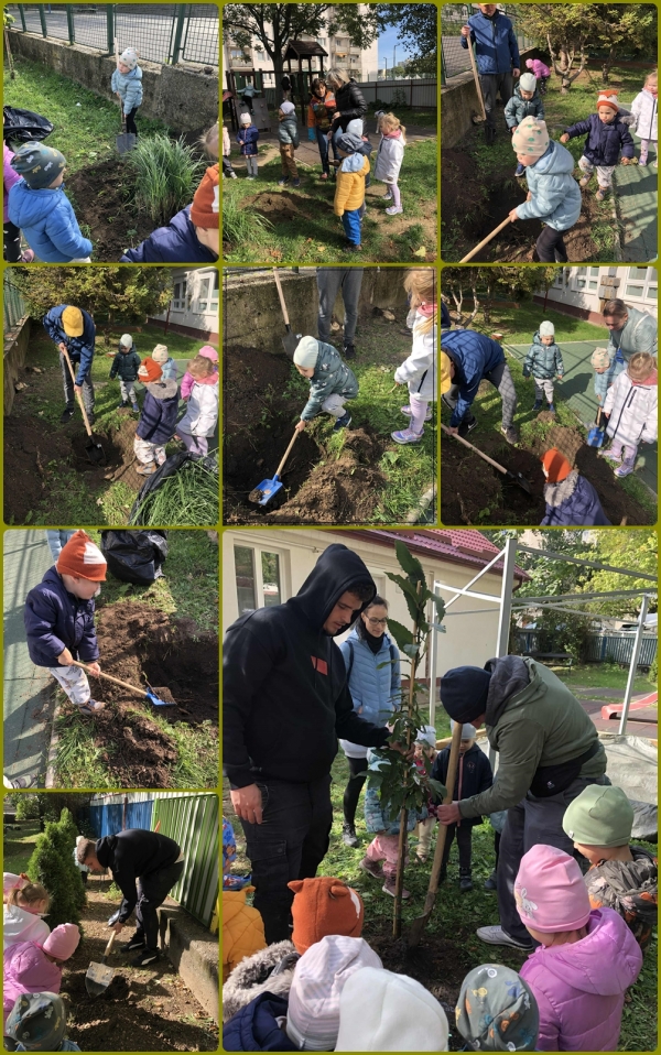 Faültetés a természet védőszentjének emléknapján