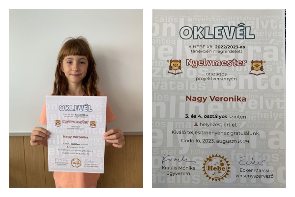 Nyelvmester országos projektverseny