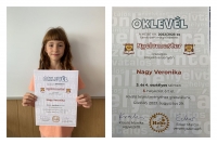 Nyelvmester országos projektverseny