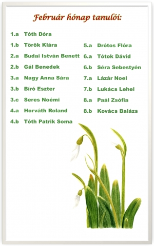 Február hónap tanulói