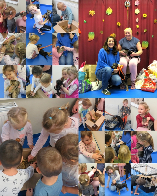 Állatsimogató az oviban